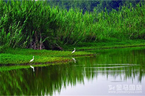 南沙濕地公園