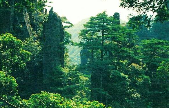 廣州到莽山旅游