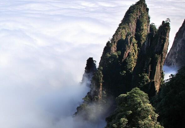 廣州到莽山旅游