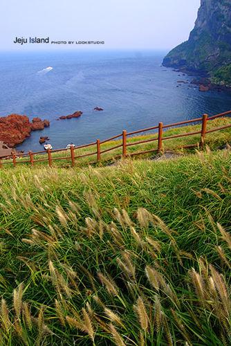 濟州島旅游攻略