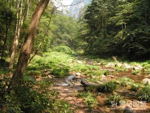 張家界旅游游記