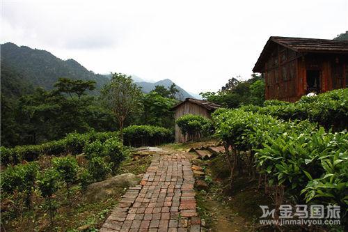 姑婆山