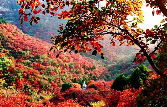 從化石門國家森林公園紅葉