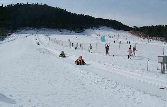 冬天看雪