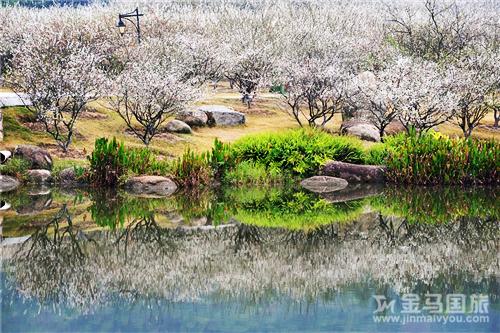 廣州蘿崗香雪公園旅游攻略