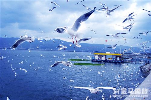 春節(jié)云南旅游
